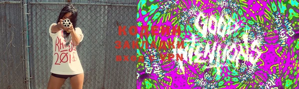 дмт Богородицк