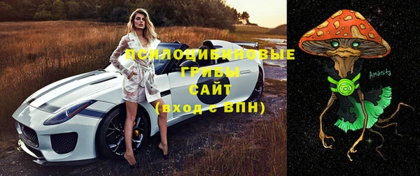 бошки Богородск