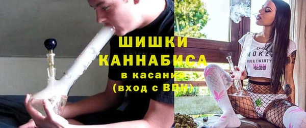дживик Белокуриха
