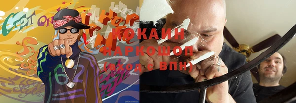 дживик Белокуриха