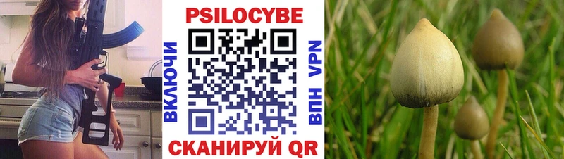 darknet клад  Богородицк  Псилоцибиновые грибы Magic Shrooms 