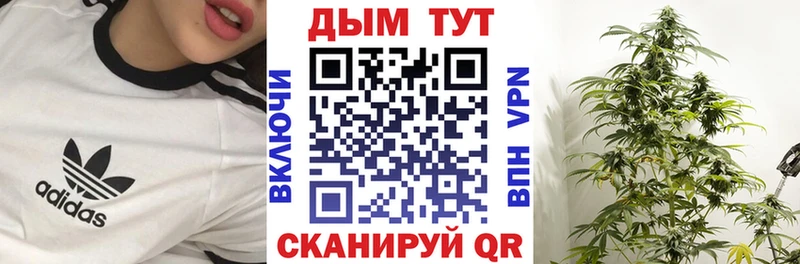 Шишки марихуана THC 21%  Богородицк 